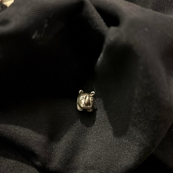 Retired Pandora Rhino 🦏 - Picture 1 of 5